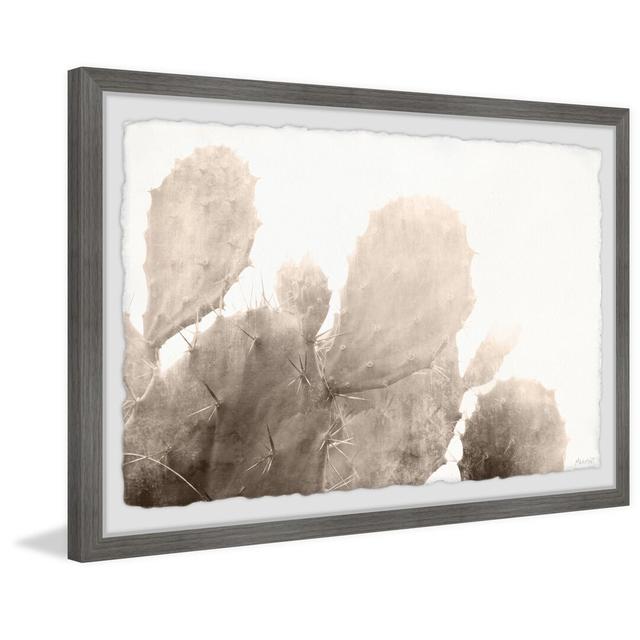 Turning Brown - Picture Frame Photograph Natur Pur Size: 38cm H x 45cm W x 3.81cm D on Productcaster.