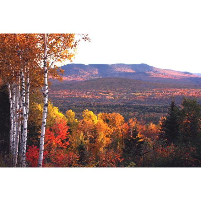 New Hampshire Fall Foliage - Wrapped Canvas Photograph Union Rustic Size: 81cm H x 122cm W x 3.8cm D on Productcaster.