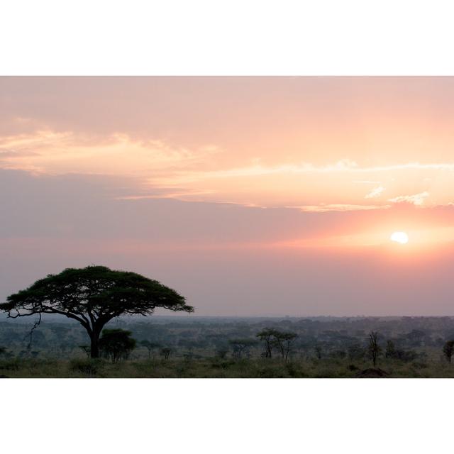 Serengeti, Tanzania by Unknown - Wrapped Canvas Photograph Latitude Run Size: 81cm H x 122cm W on Productcaster.