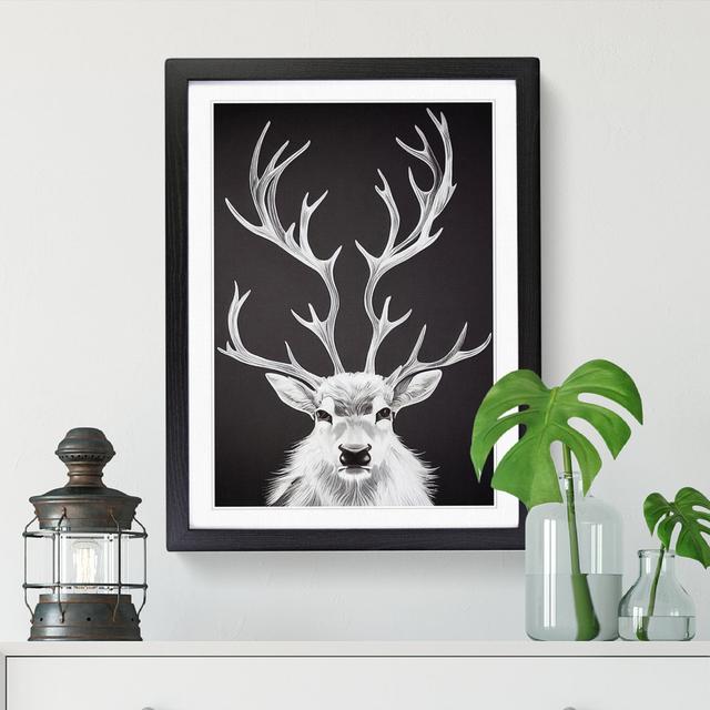 Stag Unique Art - Print Alpen Home Frame Option: Walnut, Size: 34cm H x 25cm W x 2cm D on Productcaster.