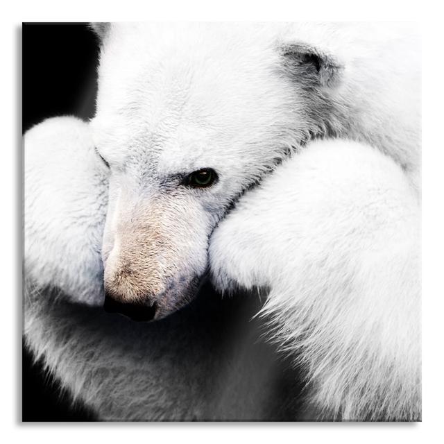 Brooding Polar Bear Leaning on Paws, Detail - Unframed Photograph on Glass Brayden Studio Size: 80cm H x 80cm W x 0.4cm D on Productcaster.