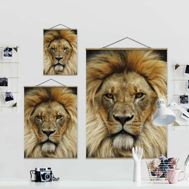 Wisdom of Lion - Photograph Print Ebern Designs Size: 106.5cm H x 80cm W x 0.3cm D on Productcaster.