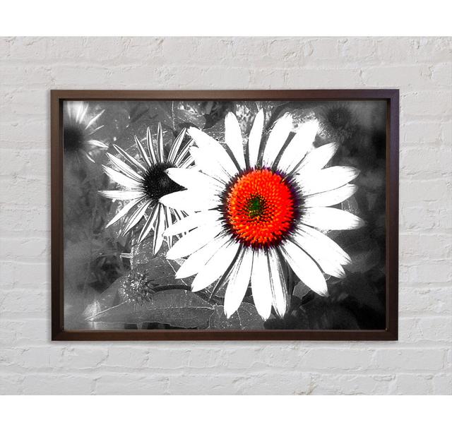 Daisy Centre - Einzelner Bilderrahmen Kunstdrucke auf Leinwand Bright Star Größe: 59,7 cm H x 84,1 cm B x 3,3 cm T on Productcaster.