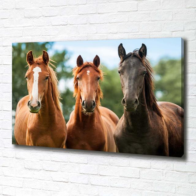 Three Horses - Unframed Art Prints on Canvas Gracie Oaks on Productcaster.