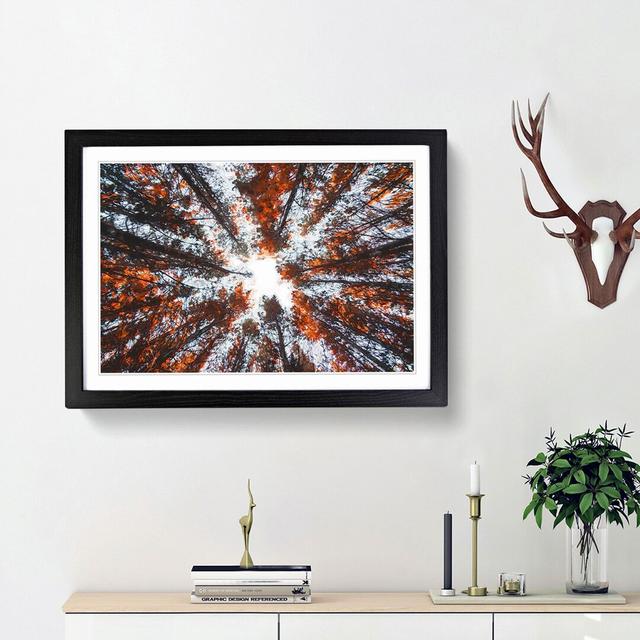 Autumn Forest Reaching Upward in Abstract - Picture Frame Painting Print East Urban Home Frame Option: Black Framed, Size: 62cm H x 87cm W x 2cm D on Productcaster.