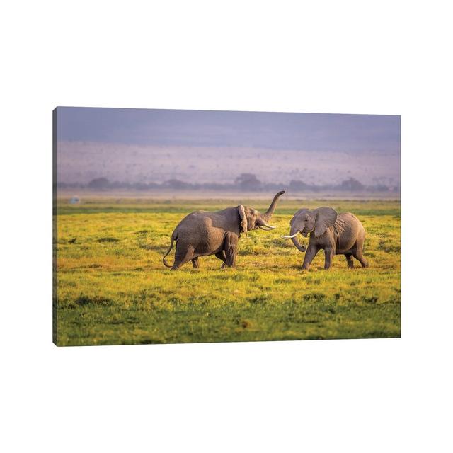 I'll Teach You by Ted Taylor - Wrapped Canvas Photograph Ebern Designs Size: 45.72cm H x 66.04cm W x 3.81cm D on Productcaster.