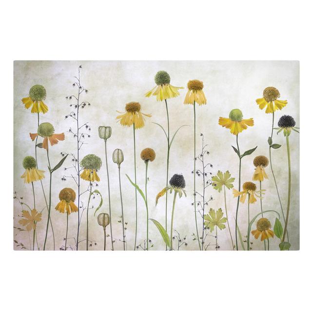 Leinwandbild Zarte Helenium Blüten Ebern Designs Format: 260g/m² Canvas, Größe: 40cm H x 60cm B, Rahmenart: Creme/Beige on Productcaster.