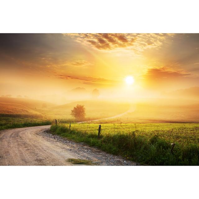 Farm Road Through Foggy - Wrapped Canvas Art Prints Marlow Home Co. Größe: 81 cm H x 122 cm B x 3,8 cm T on Productcaster.