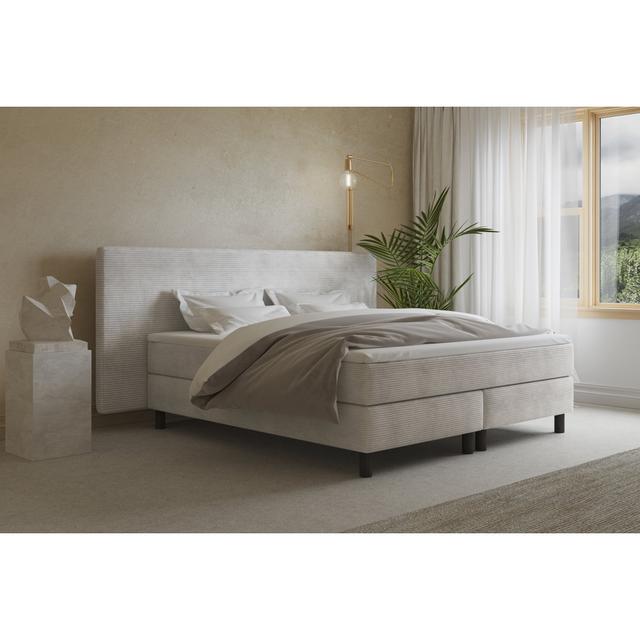 Echtes Boxspringbett Donatella mit Kaltschaum Topper, mit Cord Stoff bezogen Soft & Co. Matratzenhärte: H2 - bis etwa 75 kg, Farbe: Altweiß, Größe: 16 on Productcaster.