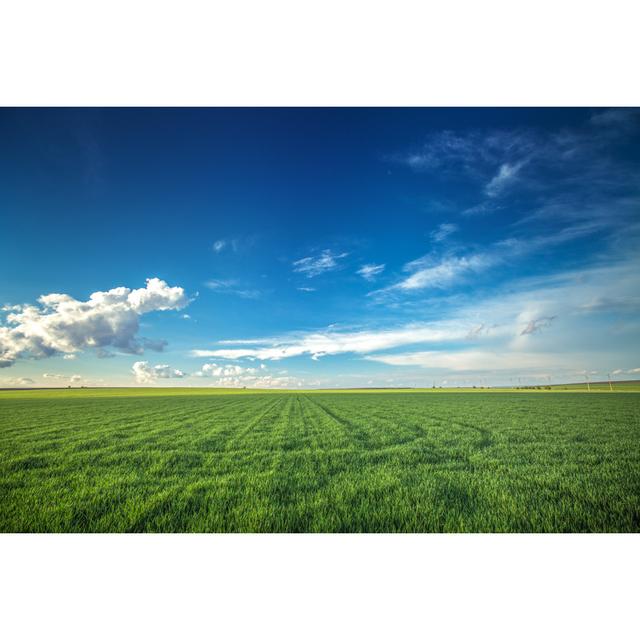 Wheat Field Against Sky 17 Stories Size: 51cm H x 76cm W 3.8cm D on Productcaster.