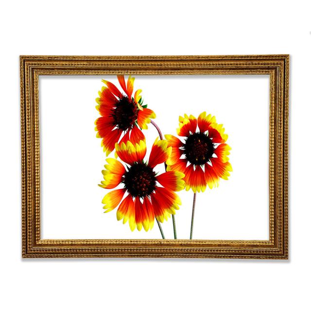 Single Picture Frame Art Prints Ebern Designs Size: 84.1cm H x 118.9cm W on Productcaster.