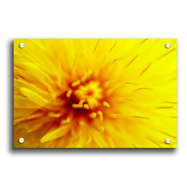 Yellow Beauty Flowers - Unframed Photograph Print on Acrylic East Urban Home Size: 42cm H x 59.4cm W on Productcaster.