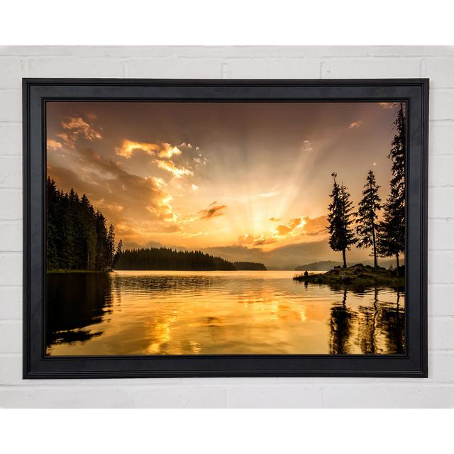 Yellow Skies Woods Framed Print Union Rustic Size: 59.7cm H x 84.1cm W x 1.5cm D on Productcaster.