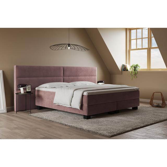 Echtes Boxspringbett Giulia mit Premium Visco Topper, mit Samtstoff bezogen Canora Grey Farbe: Korallenrosa, Matratzenhärte: H3 - ca. 75-100 kg / H4 - on Productcaster.