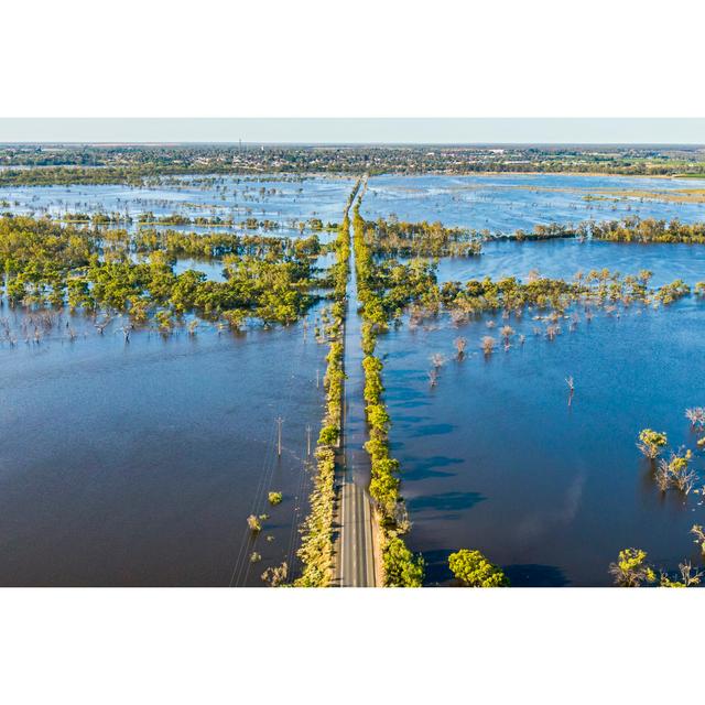 Aerial View Flooded Tree by BeyondImages - No Frame Print on Canvas Latitude Run Size: 20cm H x 30cm W on Productcaster.