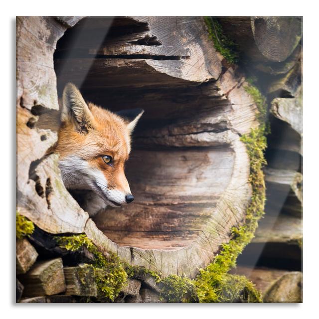 Fox in a Tree Trunk - Unframed Photograph on Glass Union Rustic Size: 60cm H x 60cm W x 0.4cm D on Productcaster.