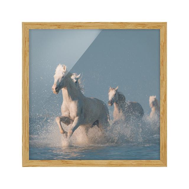 Mould Herd - Picture Frame Photograph Gracie Oaks Frame Option: Brown Framed, Size: 70cm H x 70cm W x 2cm D on Productcaster.