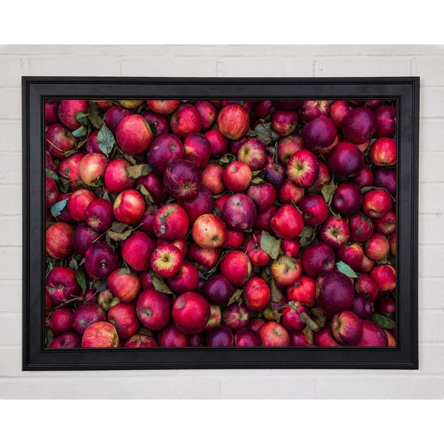 Collection Of Apples Framed Print Brayden Studio Size: 29.7cm H x 42cm W x 1.5cm D, Format: Whistler Matte Black Framed Paper on Productcaster.