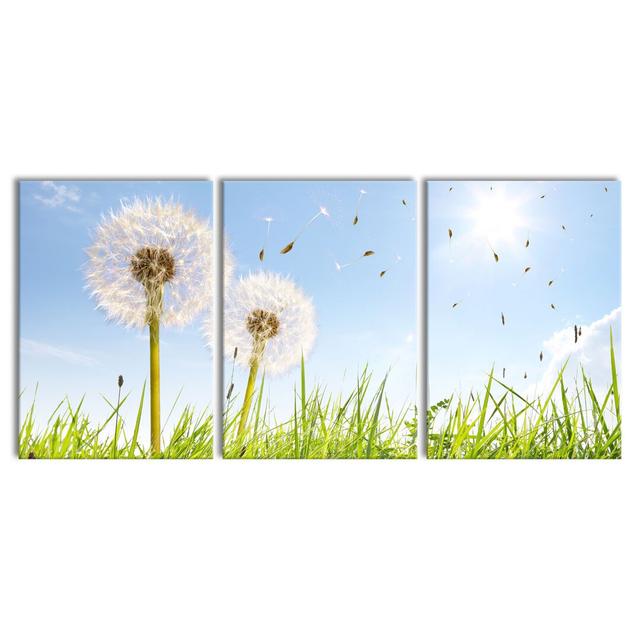 Dandelions In Spring Meadow - 3 Piece Wrapped Canvas Print East Urban Home Size: 100 cm H x 210 cm W on Productcaster.