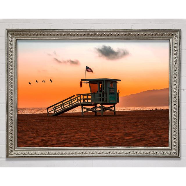 Birds Of Paradise Framed Print Highland Dunes Size: 42cm H x 59.7cm W x 3cm D on Productcaster.