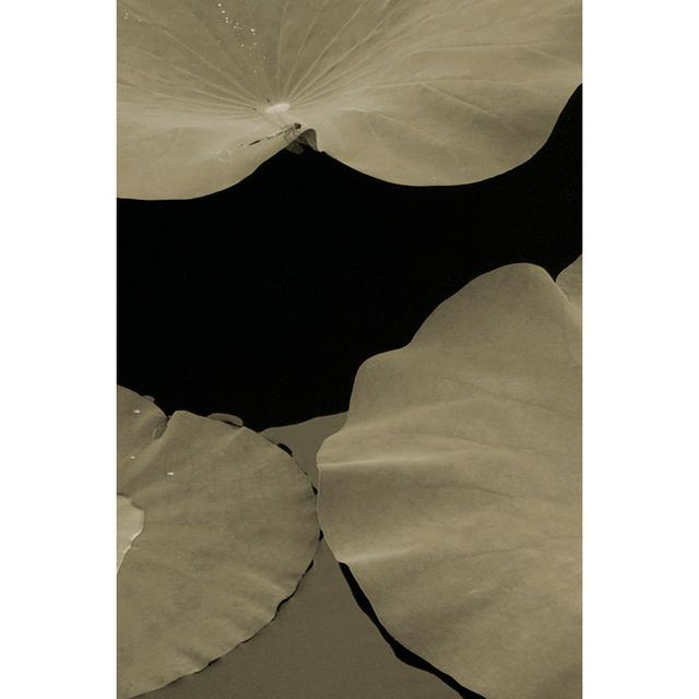 Lotus II by Tang Ling - Wrapped Canvas Art Prints Ebern Designs Size: 30cm H x 20cm W on Productcaster.