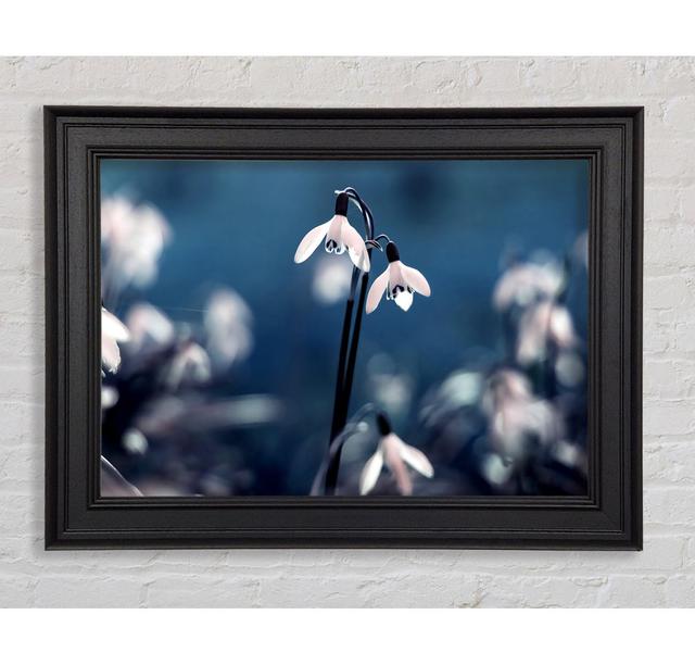 Opened Snowdrops Framed Print Brayden Studio Size: 84.1cm H x 118.9cm W on Productcaster.