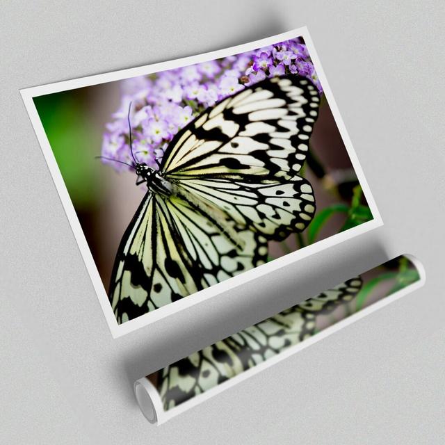 Butterfly Pattern Wild Life Print Poster - Graphic Art on Paper East Urban Home Size: 59.4 cm H x 84.1cm W on Productcaster.