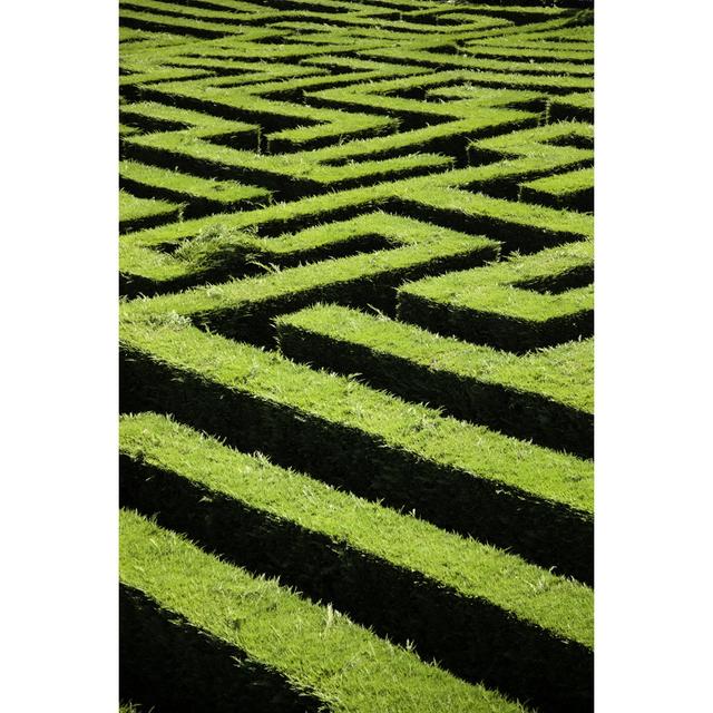 Cyndra Hedge Maze Garden by Fotocelia - Wrapped Canvas Print Latitude Run Size: 76cm H x 51cm W 3.8cm D on Productcaster.