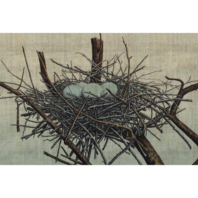 Nesting IV by John Butler - Wrapped Canvas Painting Rosalind Wheeler Size: 81cm H x 122cm W on Productcaster.