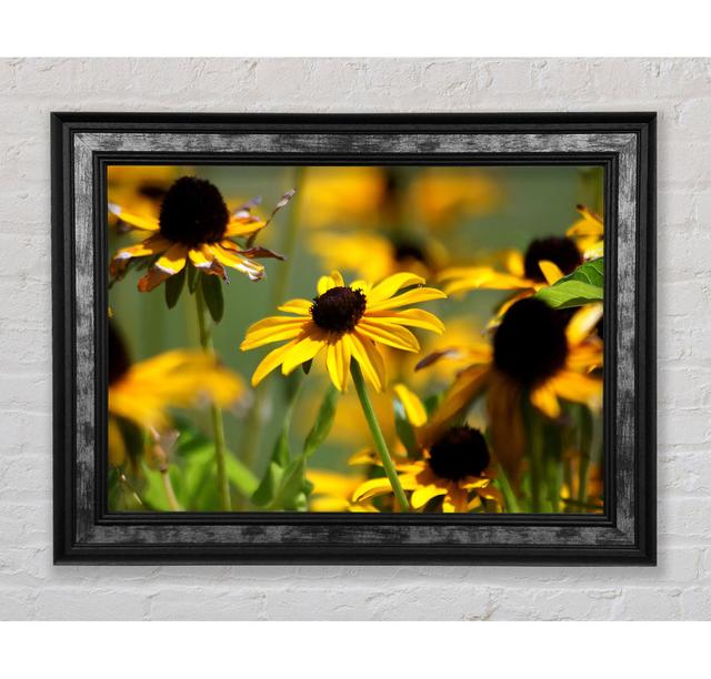 Yellow Flowers In The Garden - Single Picture Frame Art Prints Bright Star Size: 29.7cm H x 42cm W x 8cm D on Productcaster.