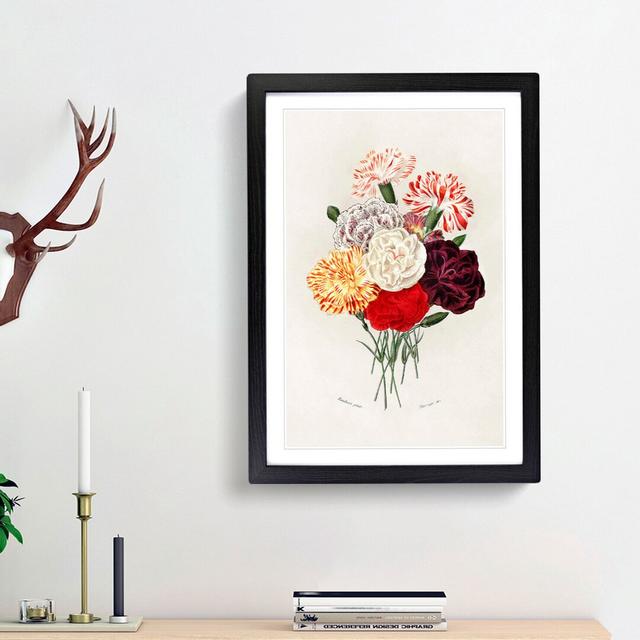 Carnation Flowers by Charles d'Orbigny - Picture Frame Painting Print East Urban Home Frame Option: Black Framed, Size: 48cm H x 36cm W x 2cm D on Productcaster.