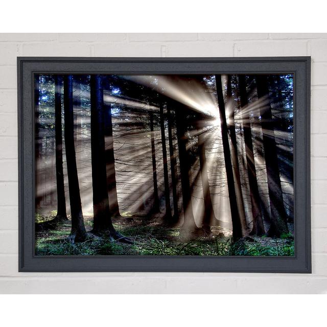 Single Picture Frame Art Prints Union Rustic Size: 84.1cm H x 118.9cm W on Productcaster.