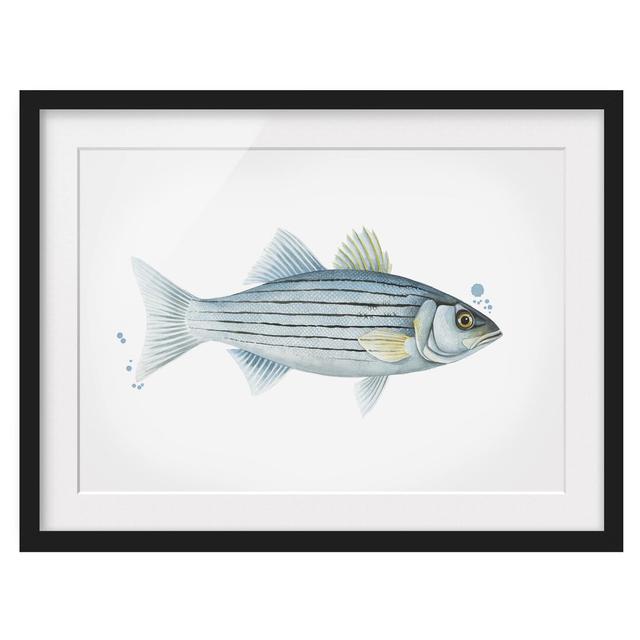 0-0-94/*Picture With Frame - Color Catch - White Perch - Landscape 3:4 Highland Dunes Size: 70cm H x 100cm W x 2cm D, Frame Option: Black Framed on Productcaster.