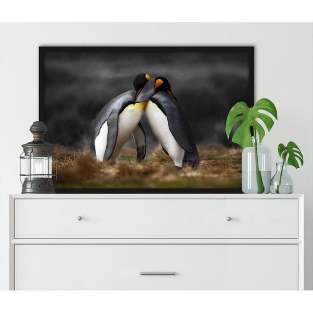 Gerahmter Fotodruck Pinguine in der Antarktis ModernMoments Größe: 55 cm H x 40 cm B x 2.5 cm T on Productcaster.