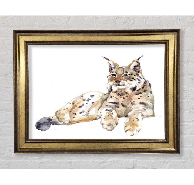 Lynx Laying Down - Print Bright Star Size: 59.7cm H x 84.1cm W x 8cm D on Productcaster.