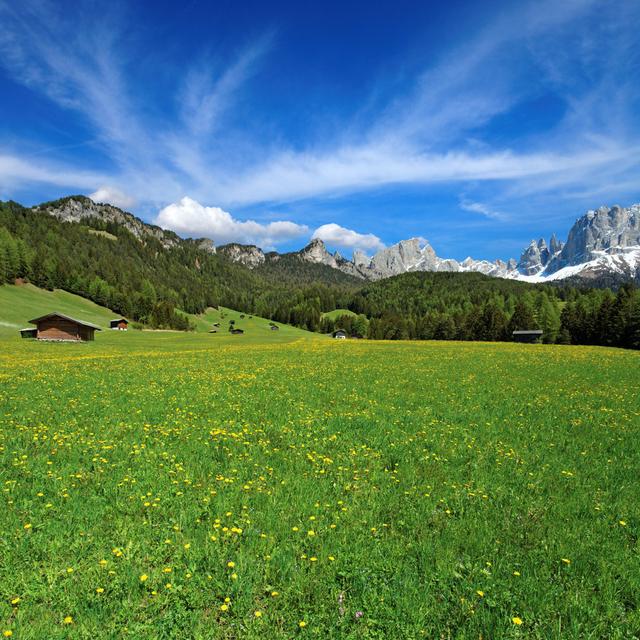 Summer in the Dolomites by Mammuth - Wrapped Canvas Photograph Alpen Home Size: 91cm H x 91cm W on Productcaster.