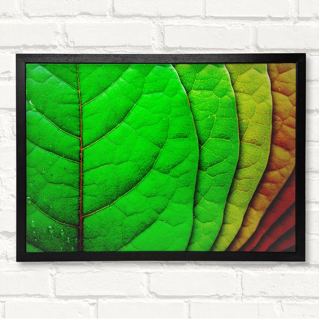 Colour Of Leaves - Print Ebern Designs Size: 21cm H x 29.7cm W x 8cm D, Format: Silver/Black Framed Paper on Productcaster.