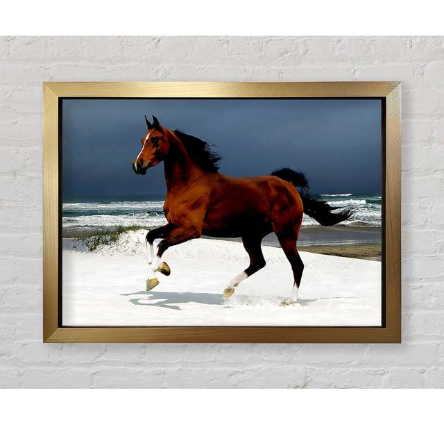 Galloping Horse - Single Picture Frame Art Prints Bright Star Size: 42cm H x 59.7cm W x 3.4cm D on Productcaster.