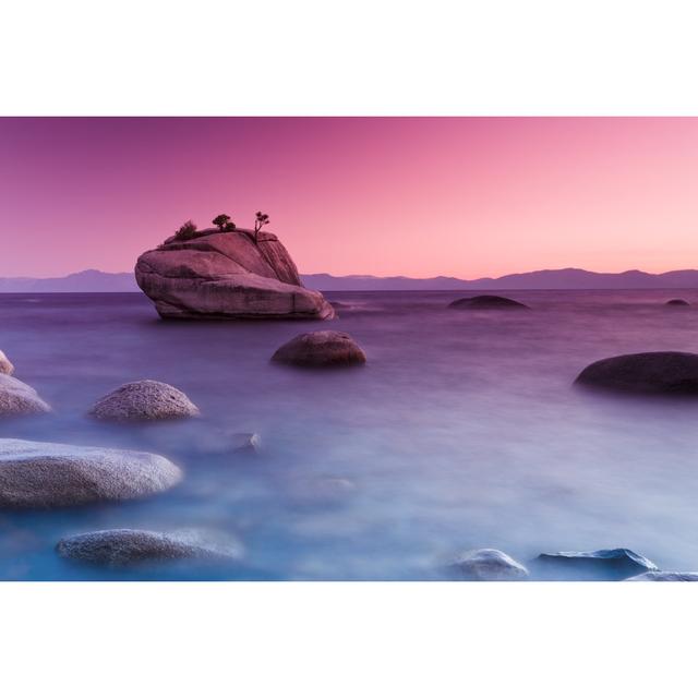 Bonsai Rock Over Lake House of Hampton Size: 81cm H x 122cm W x 3.8cm D on Productcaster.