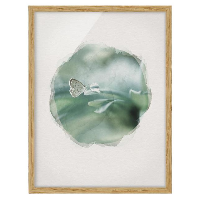 Butterfly and Dewdrops in Pastel Green - Picture Frame Graphic Art Rosalind Wheeler Size: 100cm H x 70cm W x 2cm D, Frame Option: Brown Framed on Productcaster.