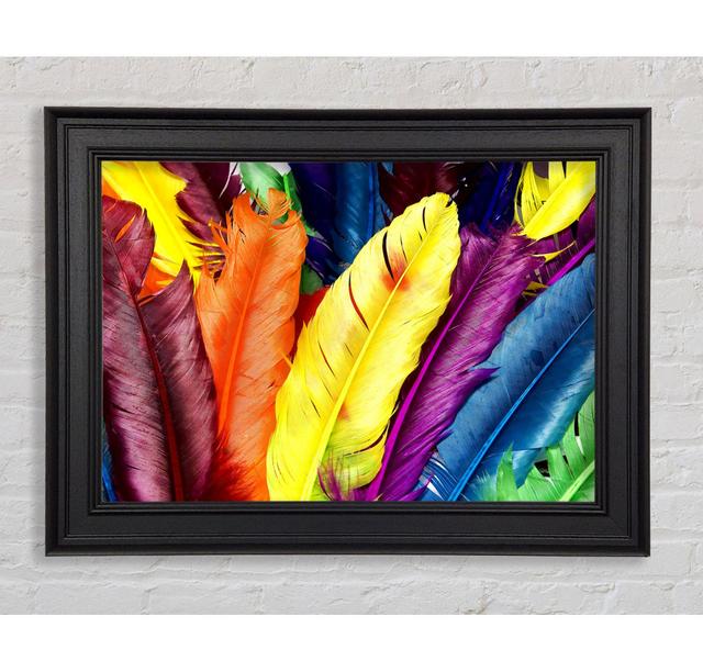 Feathers in Colours - Single Picture Frame Print Bloomsbury Market Size: 21cm H x 42cm W on Productcaster.