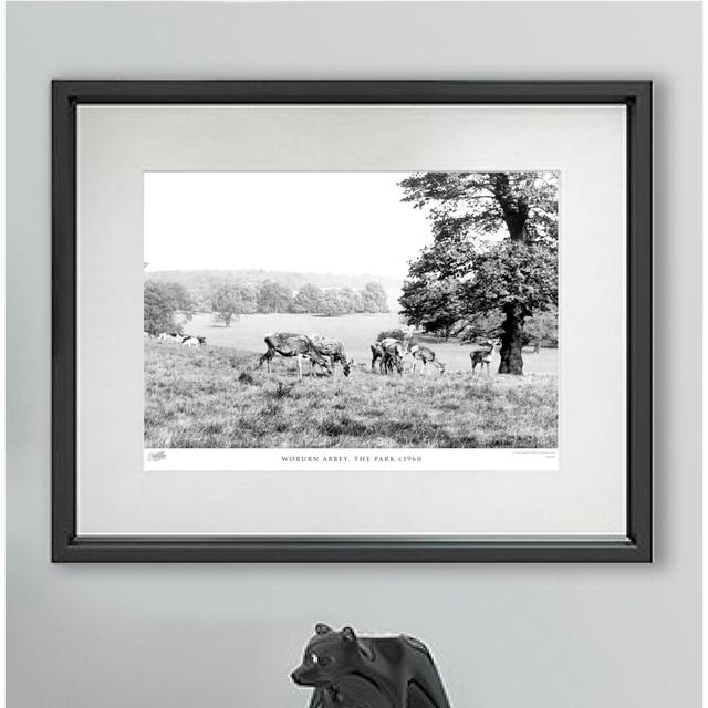 Woburn Abbey, The Park C1960 - Single Picture Frame Print The Francis Frith Collection Size: 28cm H X 36cm W x 2cm D on Productcaster.