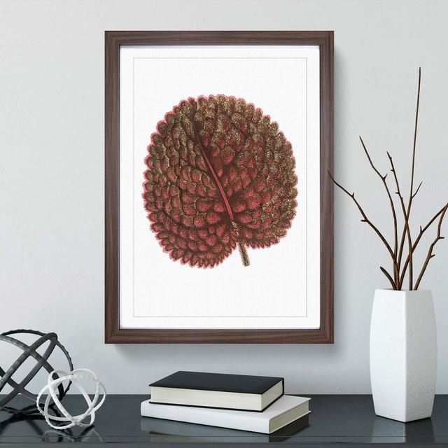 Plant Leaf by Benjamin Fawcett - Picture Frame Painting Print East Urban Home Frame Option: Walnut, Size: 91cm H x 60cm W x 2cm D on Productcaster.