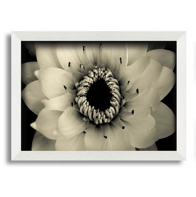 Tenderness - Single Picture Frame Art Prints Latitude Run Size: 21cm H x 29.7cm W on Productcaster.