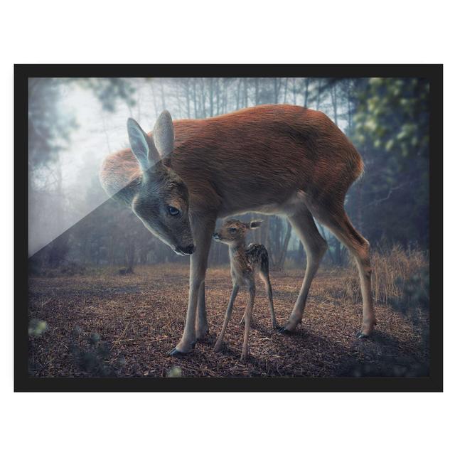 Mother and Fawn - Picture Frame Photograph Union Rustic Frame Option: Black Framed, Size: 40cm H x 55cm W x 2cm D on Productcaster.