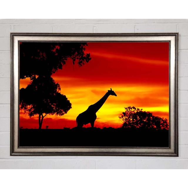 Giraffe At Dawn - Single Picture Frame Art Prints Brayden Studio Size: 21cm H x 29.7cm W x 1.5cm D on Productcaster.