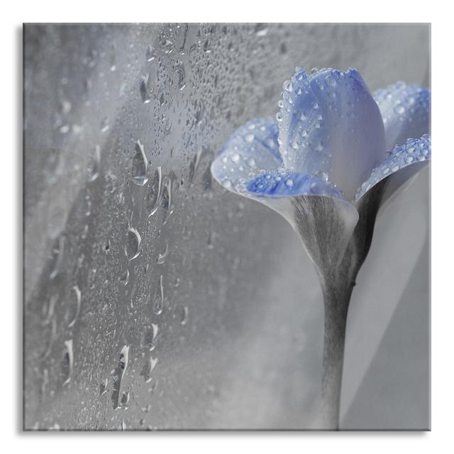 Glasbild Spring Flower Dew Drops Brayden Studio Größe: 50 cm H x 50 cm B x 0.4 cm T on Productcaster.