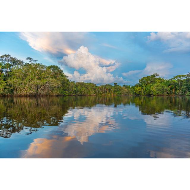 Amazon River Sunset by Sl_Photography - Wrapped Canvas Photograph Alpen Home Size: 51cm H x 76cm W on Productcaster.