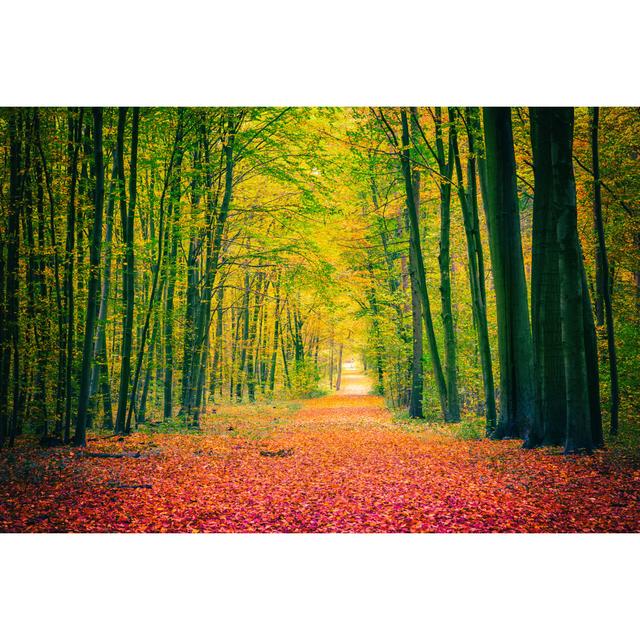 Autumn Park by Sborisov - Wrapped Canvas Print Union Rustic Size: 30cm H x 46cm W x 3.8cm D on Productcaster.