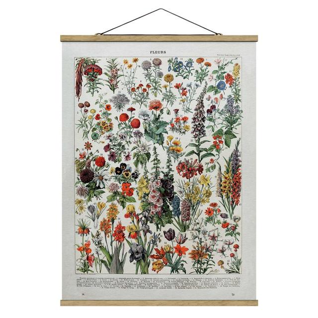 Vintage Educational Board Flowers IV - Unframed Painting August Grove Size: 106.5cm H x 80cm W x 0.3cm D on Productcaster.